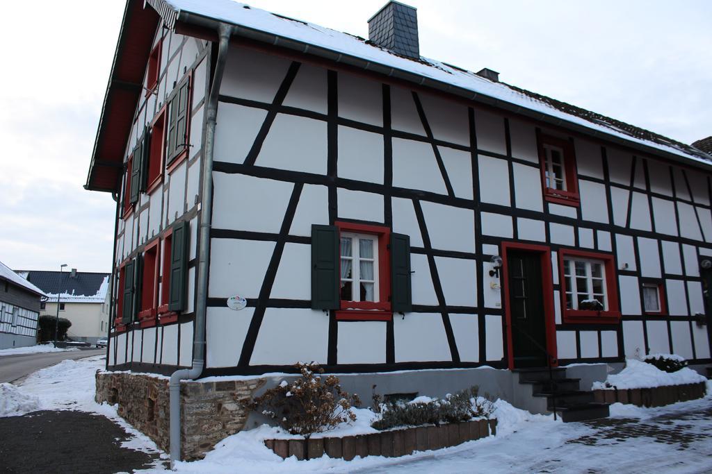 Ferienwohnung Duerbaum Schleiden Exterior foto