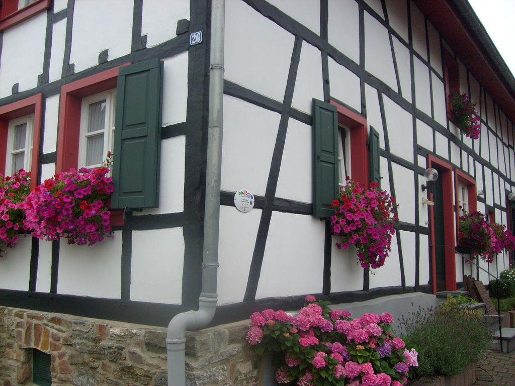 Ferienwohnung Duerbaum Schleiden Quarto foto