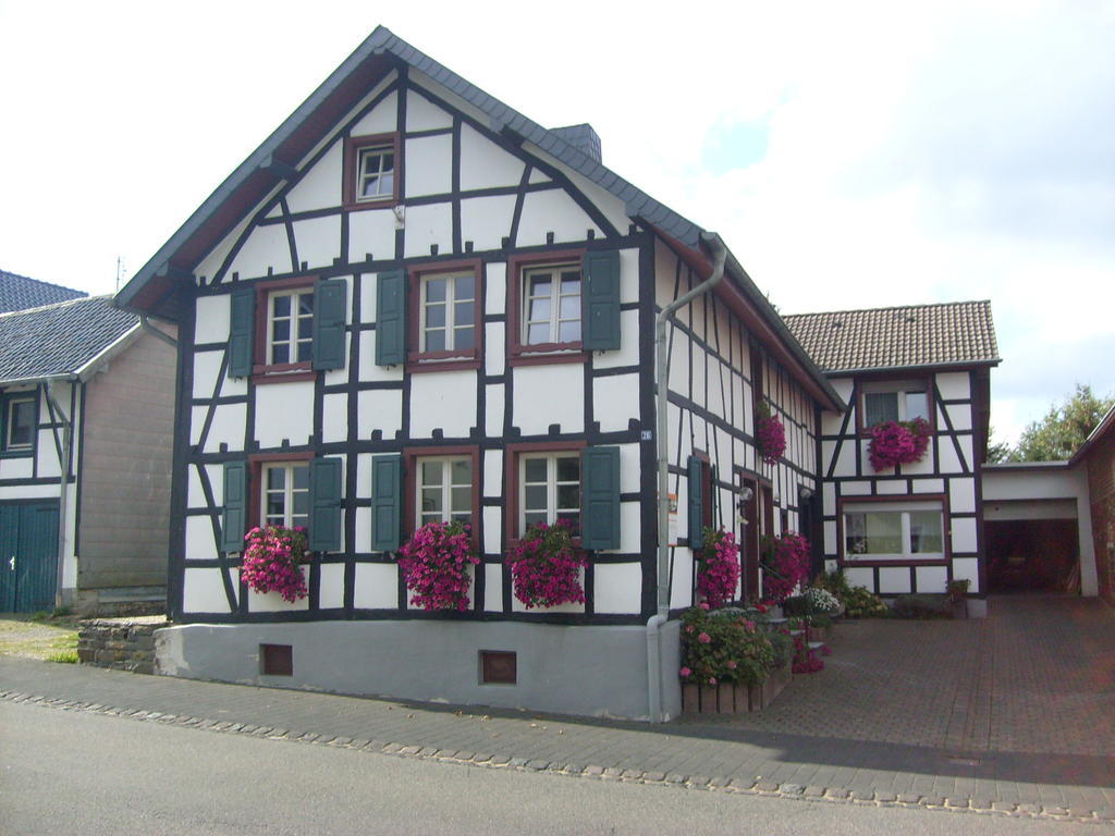 Ferienwohnung Duerbaum Schleiden Exterior foto